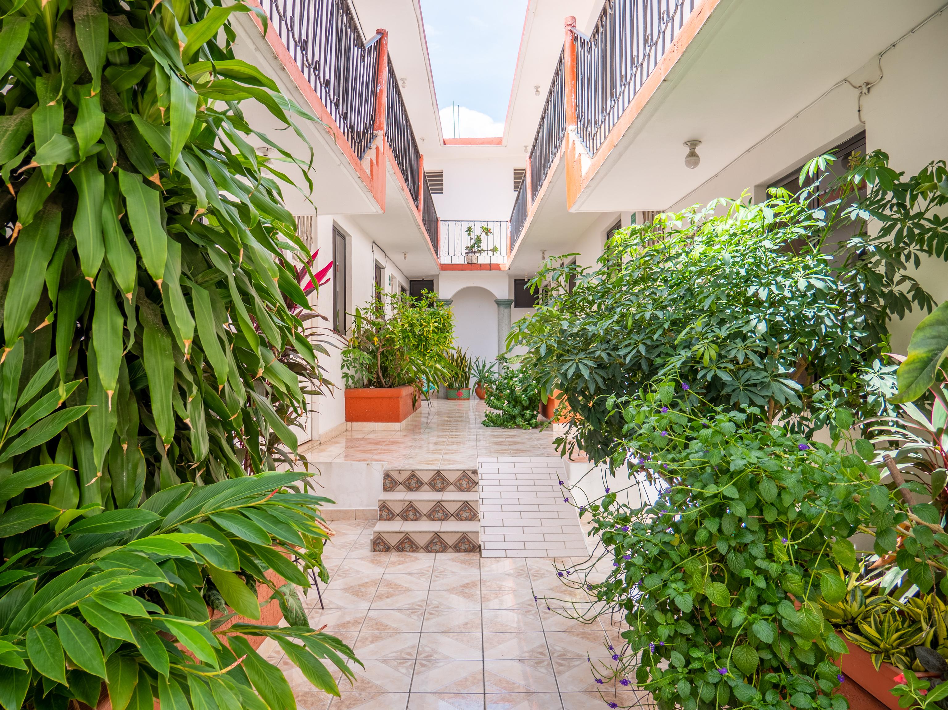 Oyo Hotel Arena Surf, Puerto Escondido Puerto Escondido (Oaxaca) Exterior foto